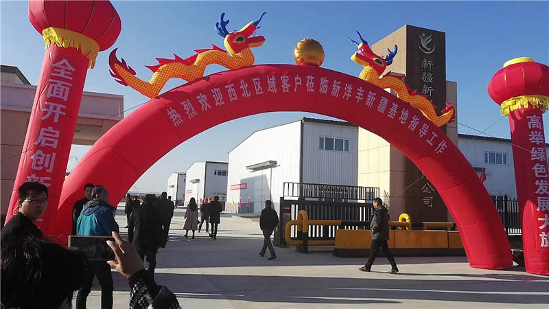 00f5b86a-0c28-435b-869b-f02ddbeaeba8.jpg 00f5b86a-0c28-435b-869b-f02ddbeaeba8.jpg