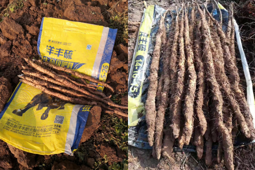 1125001714_15686243864931n.png 1125001714_15686243864931n.png