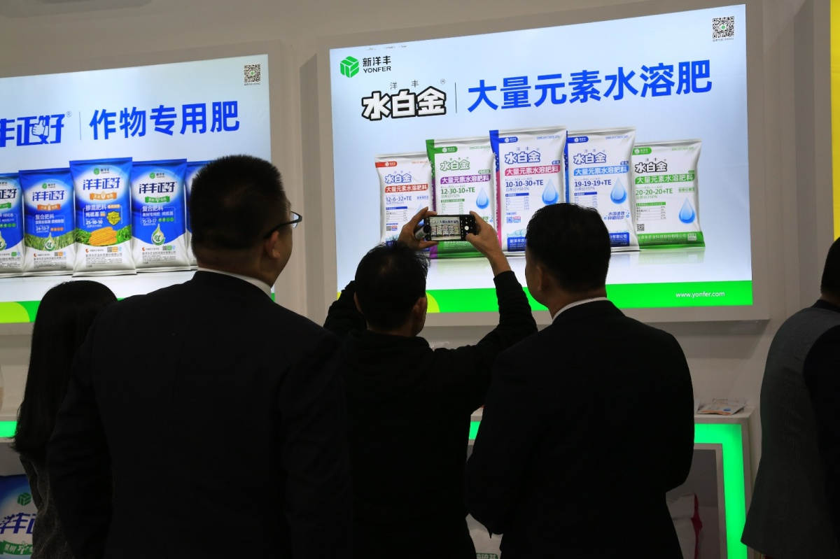 XYF_2904.JPG XYF_2904.JPG