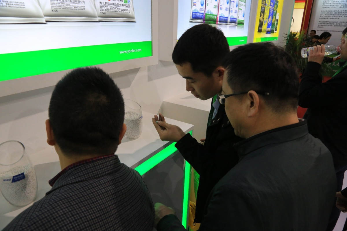 XYF_3123.JPG XYF_3123.JPG