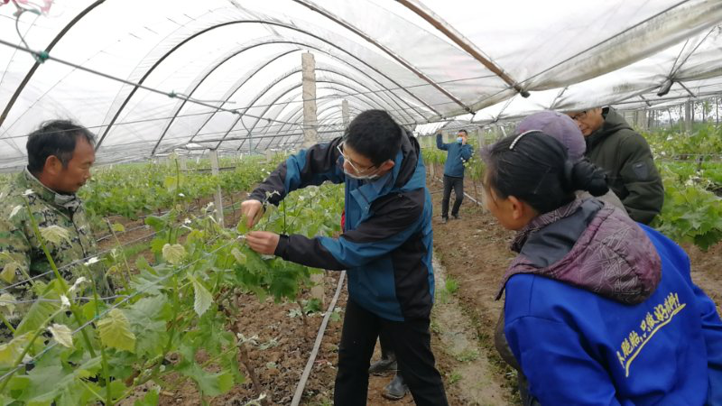 微信图片_20200901082811.png 微信图片_20200901082811.png