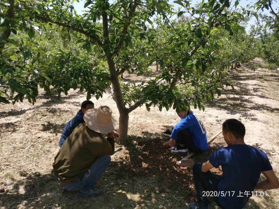 微信图片_20200901083635.jpg 微信图片_20200901083635.jpg