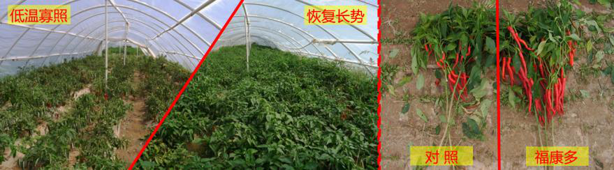 图片8.png 图片8.png