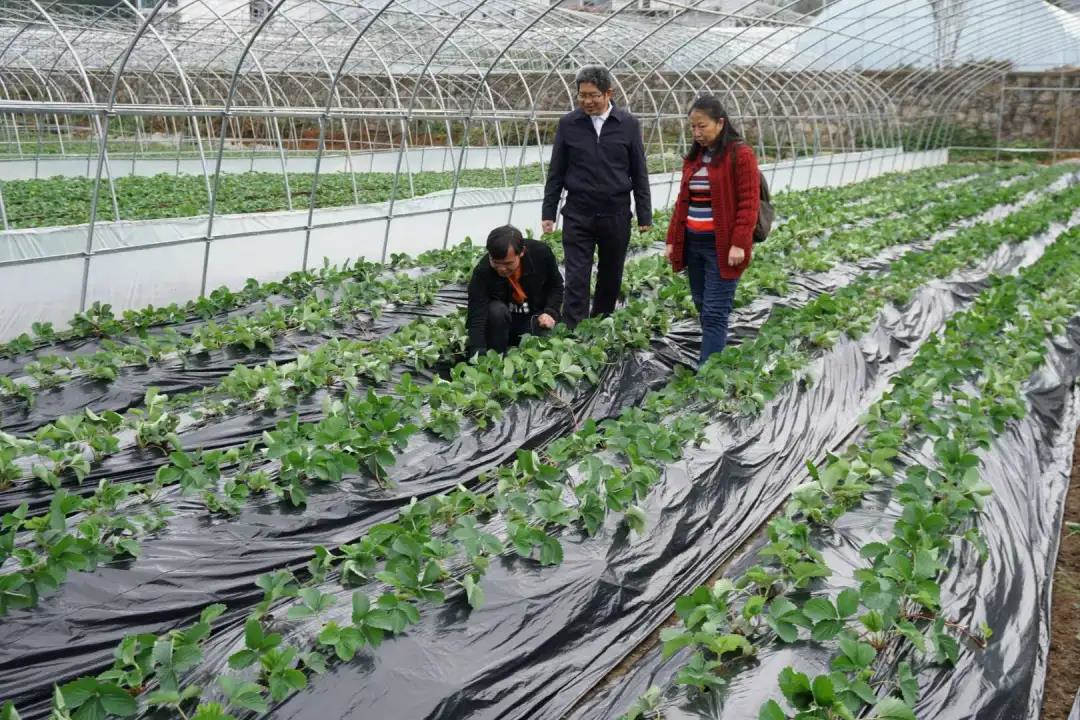 微信图片_20201024101913.jpg 微信图片_20201024101913.jpg