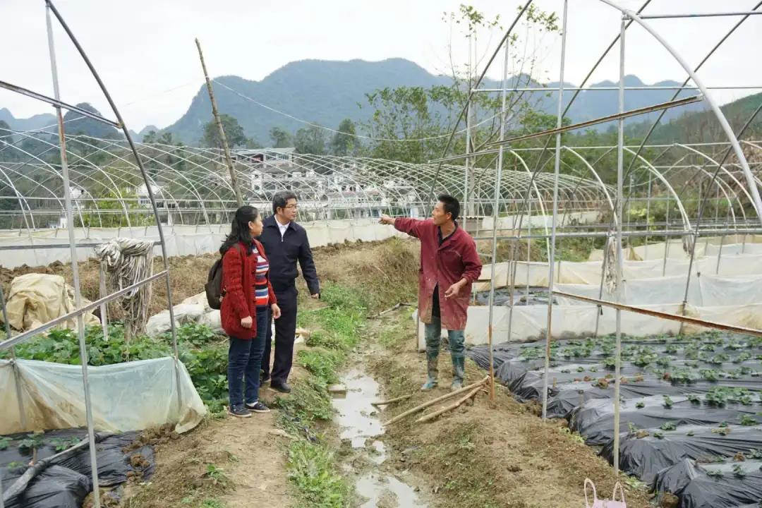 微信图片_20201024101956.jpg 微信图片_20201024101956.jpg