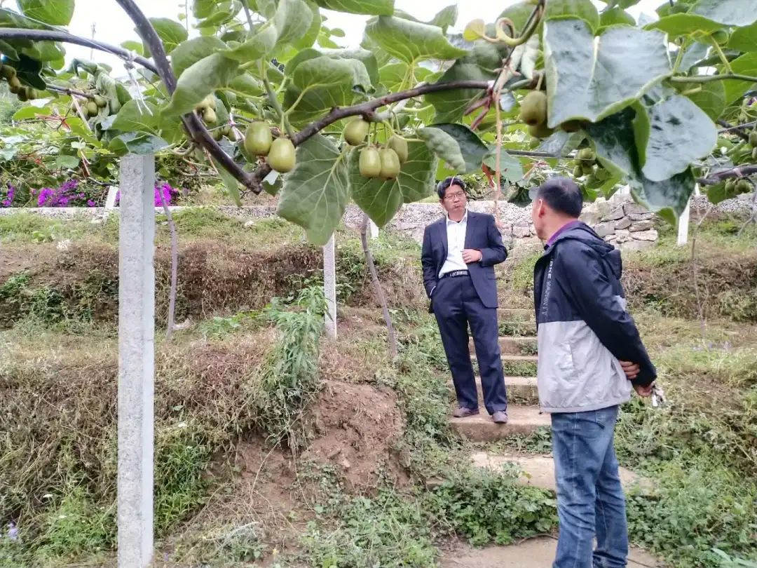 微信图片_20201024102523.jpg 微信图片_20201024102523.jpg