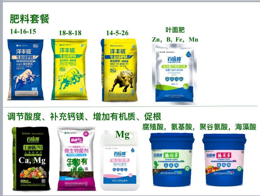 图2-2 吴良泉博士现场分享施肥套餐方案.jpg