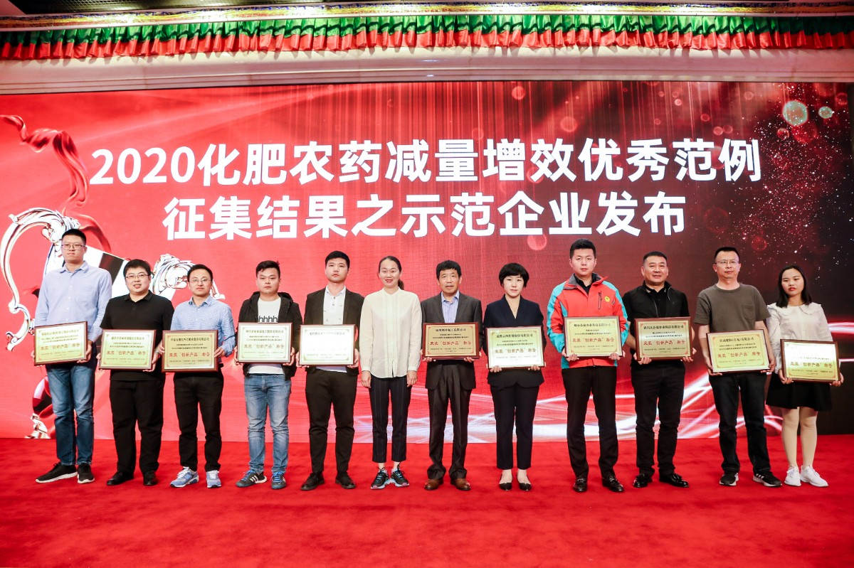 图片1 “示范企业”获奖合照 taptap点点体育副总裁包雪梅领奖左四.jpg