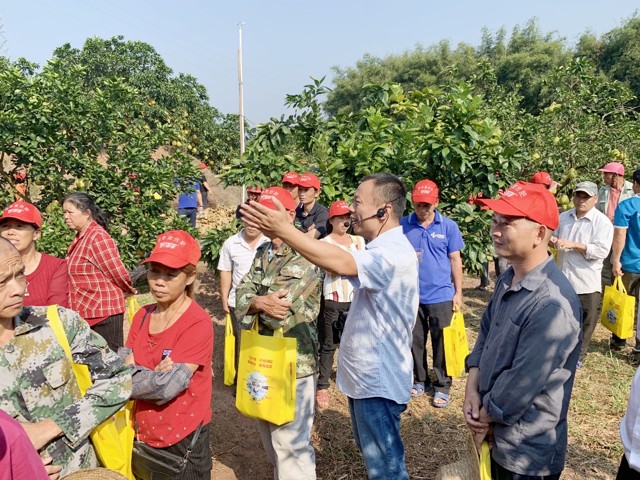 taptap点点体育西南大区总农艺师李家涛（中）在广西壮族自治区玉林市容县沙田柚示范观摩现场，为种植户做技术及效果讲解.jpg